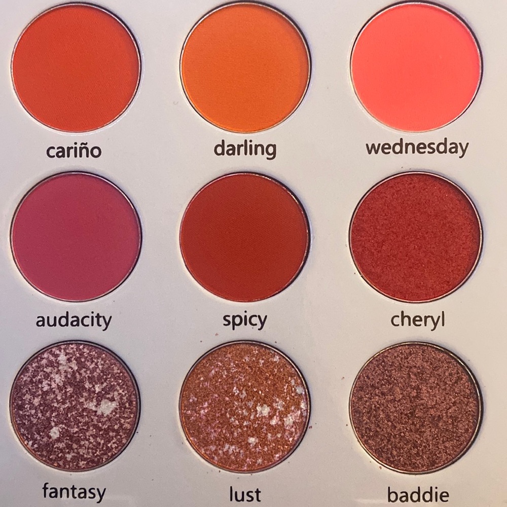 NEW 9 pan eyeshadow palette